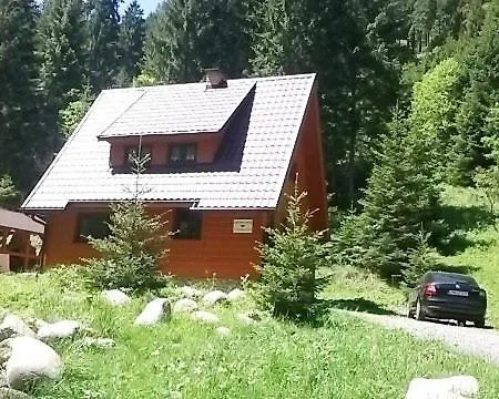 Ivan
